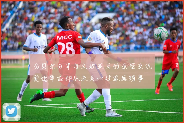 戈贝尔分享与文班亚马的亲密交流爱德华兹却从未关心过家庭琐事